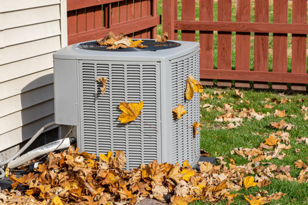 Best HVAC Cleaning Services  in Nowthen, MN